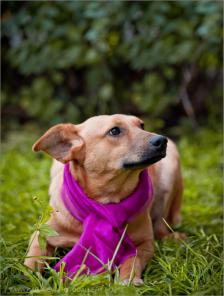 ������������� ������� ��������� ��� � ���.