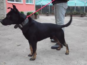 ���������� ���� ������ ����� ���