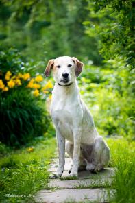 ����� ���, ����� ��� - � ������  ����!