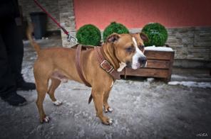 ����� �������,�� �� ����� ��������������