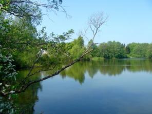 ������� � �������������� � ������������� �-��