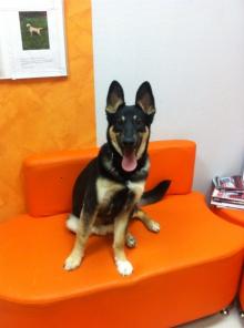 ����� � ������ ������������� ���� �������� ����