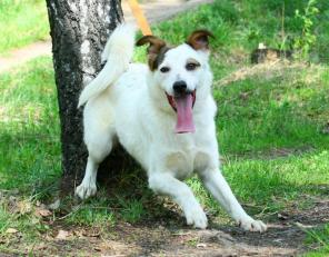 �����. ������ � ������� � ������ ����!