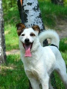 �����. ������ � ������� � ������ ����!