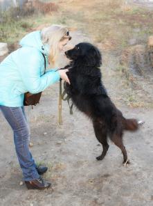 Собака-друг. Добрым людям