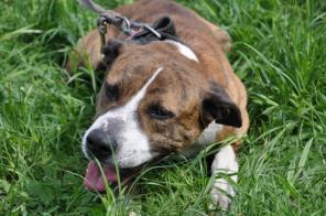 ������� ����� ��������