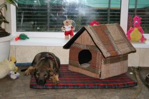 ����� �������-������ ��� �������