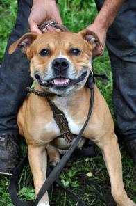 �����-������������