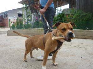 �����-������������