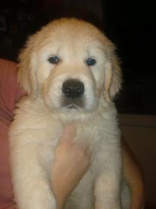 ����� ����������� ���������