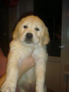 ����� ����������� ���������