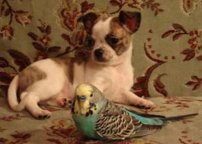 ��������, ����, ���. ����������, ����� � ������, �������.