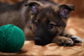 ����� � ������ ����! 2 ���.