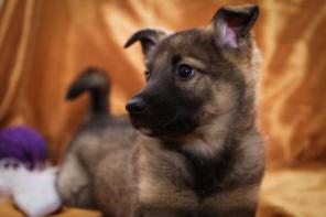 ����� � ������ ����! 2 ���.