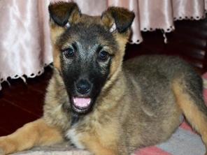 ����� 3 ���. � ���!