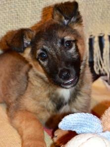 ����� 3 ���. � ���!