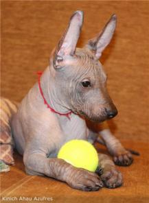 ������������ ����� ������  ��������������� �����.