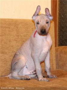 ������������ ����� ������  ��������������� �����.