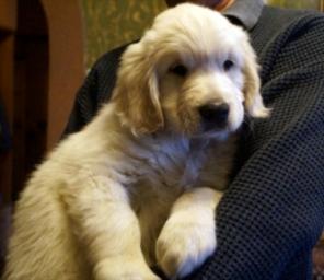 ����� ����������� ���������!