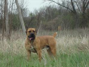 ����� ���������������� ������� � ��������� ������