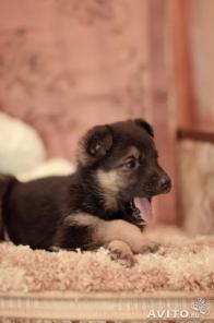 ����� � ������� ����