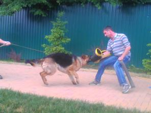 ����������� �����