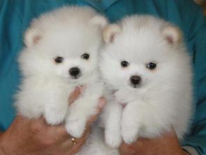 ���� ������������, ������� � ��� ���!