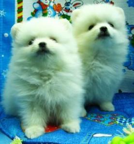 ���� ������������, ������� � ��� ���!