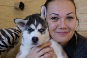 ����� �����