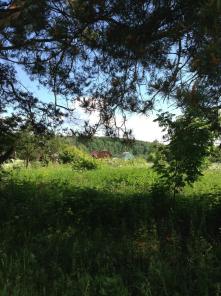 ��� ������ � �����.