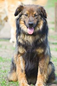 �������� ������� ����� � ������ ����!