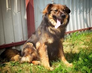 �������� ������� ����� � ������ ����!