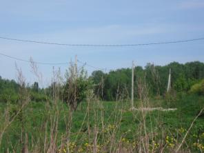 �������  ��� ������ �����.