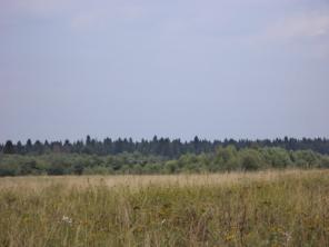 ��� ����������.