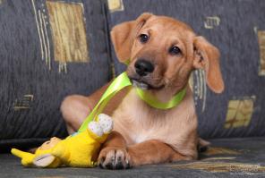 ����� � ������ ����