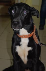 �������-������������ ������