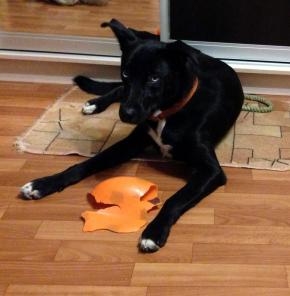 �������-������������ ������