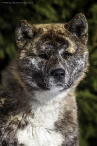 ��������� �������� ����� �����-���