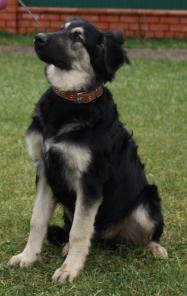 ������������ ����� � ���. ����� 8 �������.