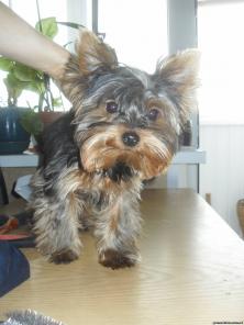 ������� ����� � �����