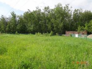 ��������� �������. ����������� �����, 30 �� �� �����