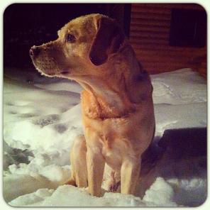 �������, ������� �������� � ���������� ����