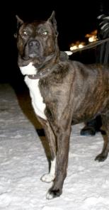 ������� ��������� ����� ������