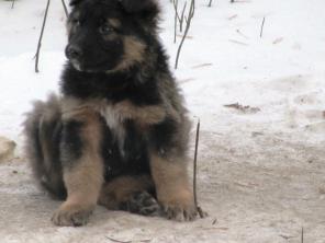 �����  � ������� ����