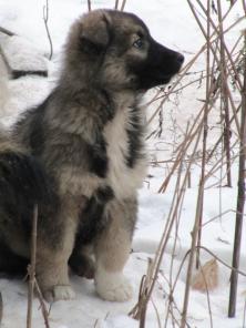 �����  � ������� ����