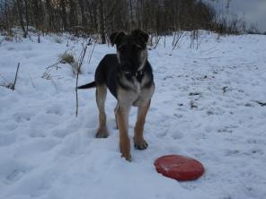 �������, ����� ������� 3 ������, ���� ���