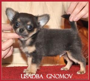 �������� ������� ������� ������