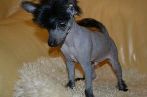 ��������� ����� ���� ��������� ��������