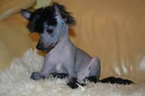 ��������� ����� ���� ��������� ��������