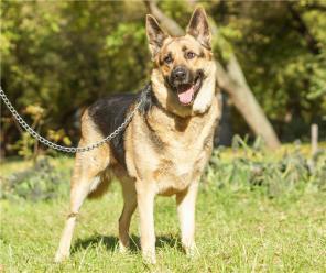 ���� ����� ��� �������� ������� ����